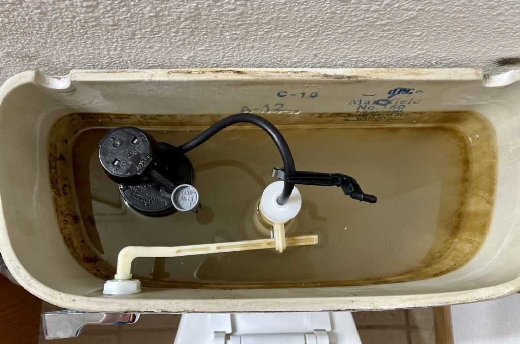 look inside a toilet tank
