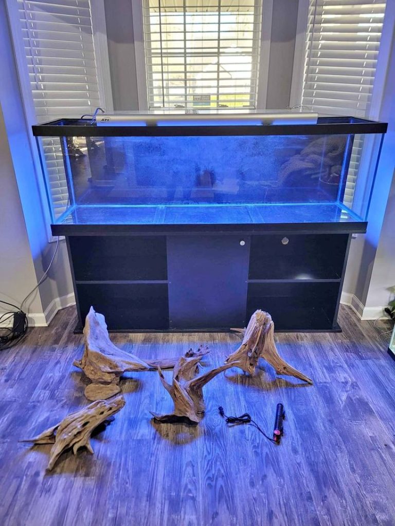125 Gallon Aquarium