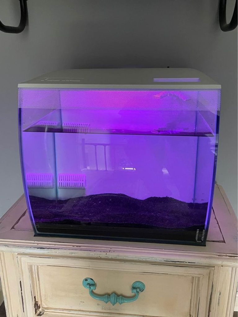 15-gallon aquarium