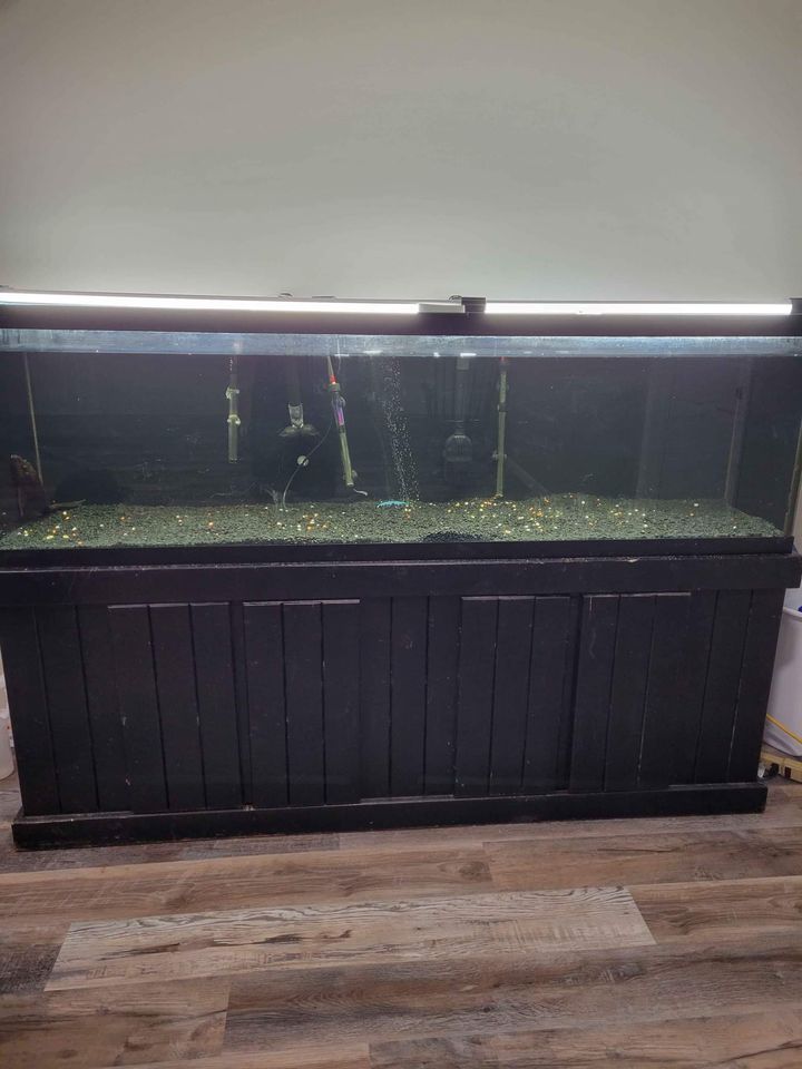 150 Gallon Aquarium