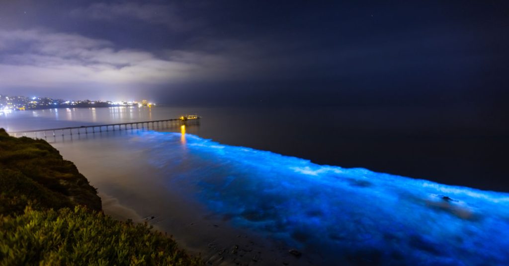 Bioluminescence at San Diego Coast